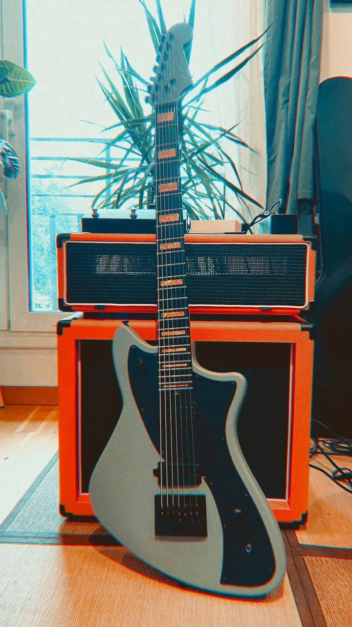 Laika custom build 36